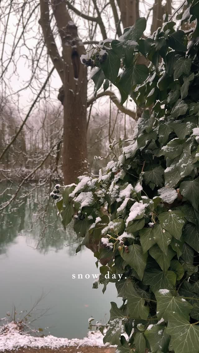 Snow day in France 🇫🇷