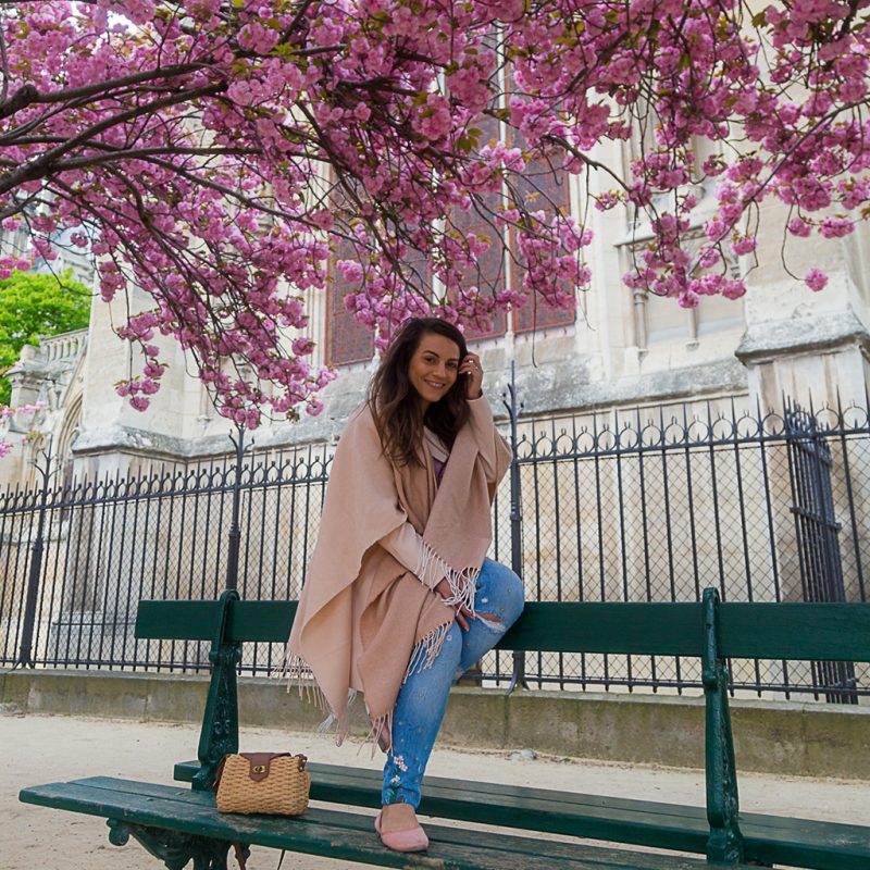 Fotógrafa brasileira em Paris : Beks embaixo das cerejeiras da Notre Dame