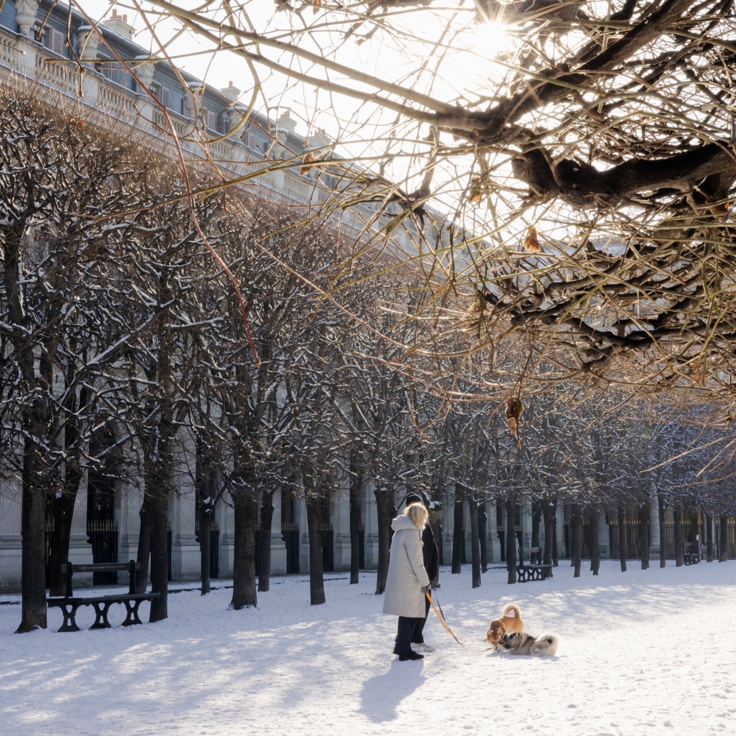Aproveitando o dia do fotógrafo pra dar início a uma série nova por aqui 🙃

Não são fotos de clientes, são fotos minhas, fotos de viagem, de cidade, de dias vividos. Um pouco do meu olhar vagando pelo mundo com minha câmera na mão.

Pra nomear a série TBT é genérico demais. Essa série precisa ter sentido. Então, fico dividida entre Cartões Postais das Quintas ou Wanderlust.

Começando com essas fotos de Paris na neve, porque essa semana foi rara, quase inédita. A última vez que vi Paris sob a neve assim foi em 2018. E é sempre tão mágico ver Paris inteira branquinha 🤍

#parisneige #neveemparis #neveparis #snowinparis #fotografoemparis