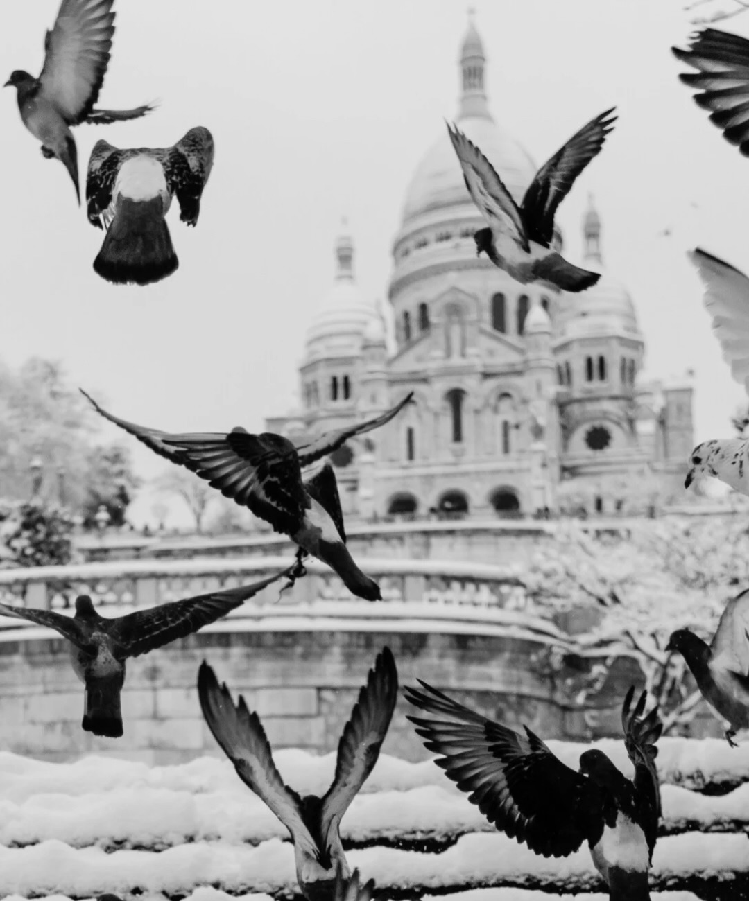 January in 20 photos ✨ Para entender, puxe uma cadeira, vá até a última foto deste carrossel e verifique antes de sentar. 

Comentei que esse mês foi basicamente pra organizar o ano… mas, na real, teve muito mais coisa acontecendo…

Segue mais detalhes fora da ordem cronológica:

❄️ Foto 1: Montmartre coberta de neve.
🎒 Foto 2: A clássica foto antes de sair pra trabalhar, com meus 8kg nas costas.
📸 Foto 3: Seleção das fotos da Ásia Central, finalmente fechei o Casaquistão e pude montar meu álbum.
🌷 Foto 4 : Tulipas em janeiro… alguém me explica?
🌙 Foto 5: Revendo a beleza da Notre-Dame à noite
🎁 Foto 6: Organizando meu aniversário.
🏋️‍♀️ Foto 7 : Perdendo os quilos que ganhei no Brasil
🎨Foto 8: Voltando à aquarela e cumprindo a meta de 2025.
🍪 Foto 9: Cookie pedindo Cookie.
🎬 Foto 10: Indo ver O Agente Secreto, estrelando minha querida Recife e meu maravilhoso Wagner Moura no filme com 4 indicações ao Oscar, apenas!
🍽️ Foto 11-15: Comer, comer, comer…o bolo de aniversário que resume a vida atual do meu marido. E comer, comer…
❄️ Foto 16-17: Acordando com neve.
🪴 Foto 18: A planta do Brasil que não sobreviveu à friaca 🥲
🛠️ Foto 19: Passando na reforma da casa pra ver se tá tudo em pé… literalmente.
🪑 Foto 20: Por favor, verifique a cadeira antes de sentar. Muffin agradece!

Agora vou viver o último dia do mês como se fosse meu 31/12/2025, e enfim, começar meu ano! ✨

Feliz ano novo novamente!