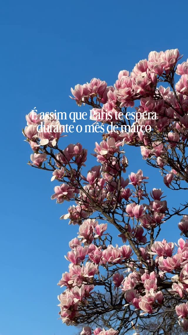 Explosão de cores e flores durante o mês de março em Paris 🌸