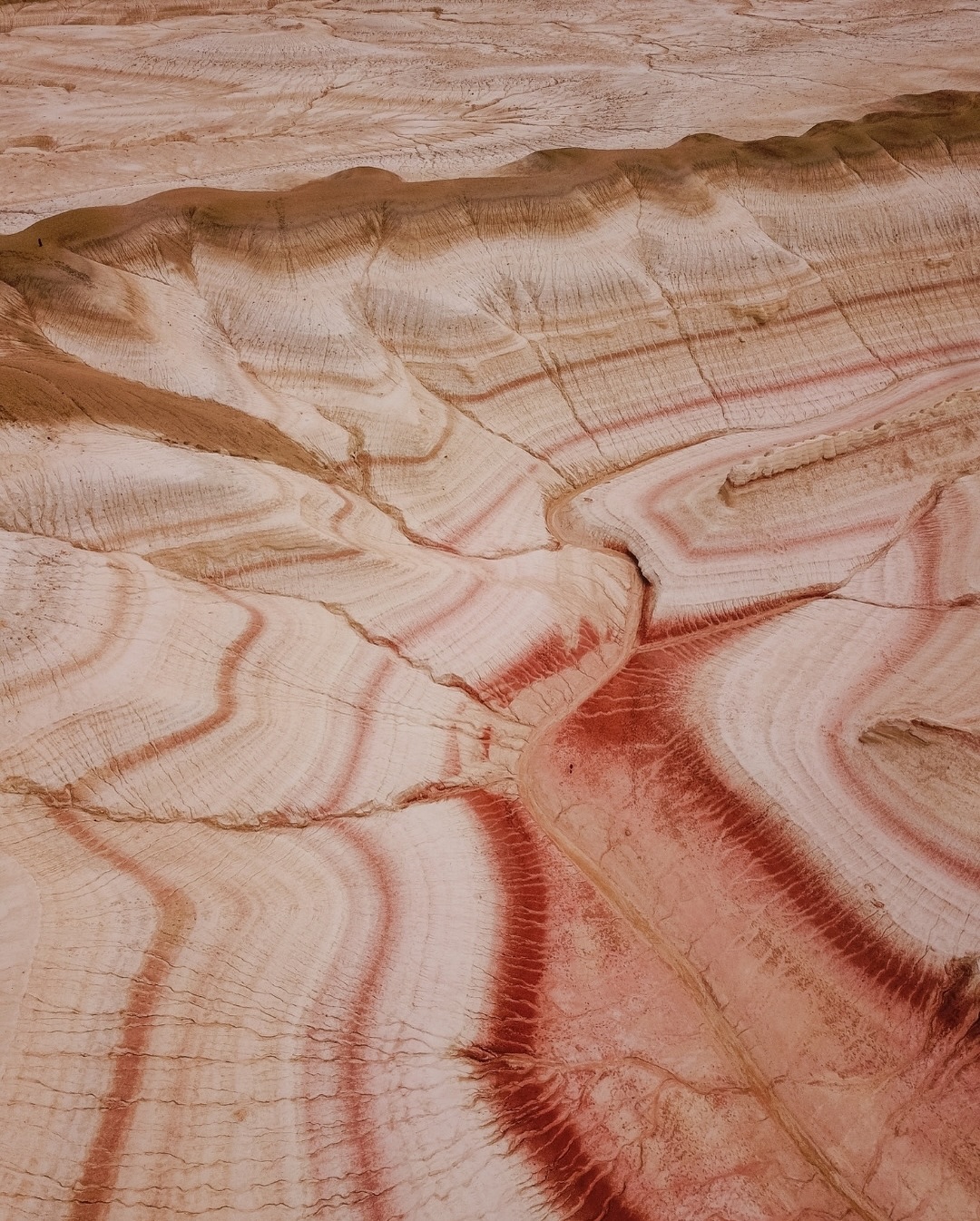 Eu também já tive preconceito com países que terminam em “-istão”.

E talvez você também tenha.

Esse destino estava no topo da minha lista há anos. Faltava só coragem para romper aquele velho preconceito que, no fundo, era puro desconhecimento.

Foram quase 10 dias de roadtrip, de forma praticamente autônoma (exceto nos desertos). Sem guia, sem motorista e sem agência.

Eu montei o roteiro com o máximo de informações que consegui encontrar em guias e relatos de outros viajantes. E assim partimos, com mapas salvos offline e quilômetros de paisagens de tirar o fôlego:

⛰️ montanhas que pareciam cenários de filme.
🏜️ desertos que pareciam coisa de outro planeta.
💙 lagos que pareciam irreais.

A verdade é que o Cazaquistão está se abrindo ao turismo no pós-pandemia e ainda é um “bebê” nesse aspecto.

Mas honestamente? Valeu muito a pena. Foi um dos lugares onde mais me senti segura nos últimos tempos.

O único “perigo” eram os animais soltos na estrada e até isso fez parte da experiência ☺️

Quanto aos lugares, deixo vocês explorarem pelas fotos. E aqui vai um breve roteiro:

📍 Kolsai & Kaindy Lakes (2 dias)
📍 Charyn Canyon (2 dias)
📍 Aktau & Parque Altyn Emel (2 dias)
📍 Mangystau (3 dias)

Vocês podem ver todos os relatos dessa viagem no meu canal Viagens. 
—
Este post faz parte da série Visual Diary, que prometi começar em 2026. Será uma publicação por mês com minhas fotografias de viagem e um pouco do que vivo além de Paris.

Porque duas coisas continuam se misturando por aqui ☺️ Fotografia e mundo.

#visualdiary #kazakhstantravel #travelphotography
#cazaquistão #visualstorytelling